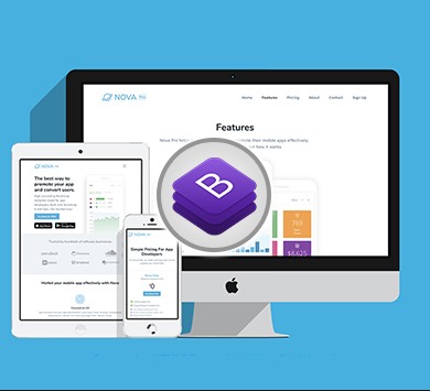 Bootstrap Training in Delhi