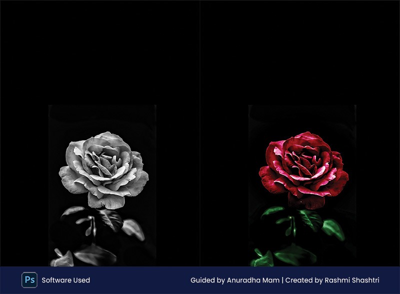 Flower coloring in Adobe Photoshop