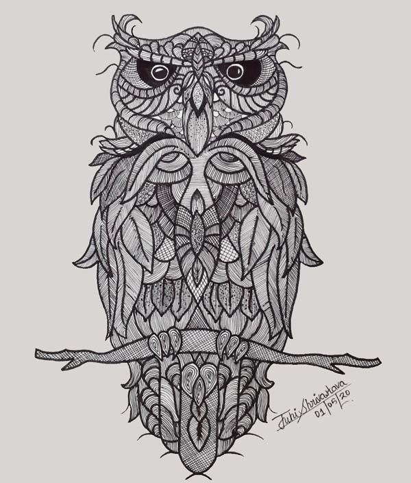 Creative Owl Sketching