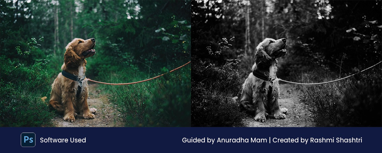 Black and white color corrections in Photoshop