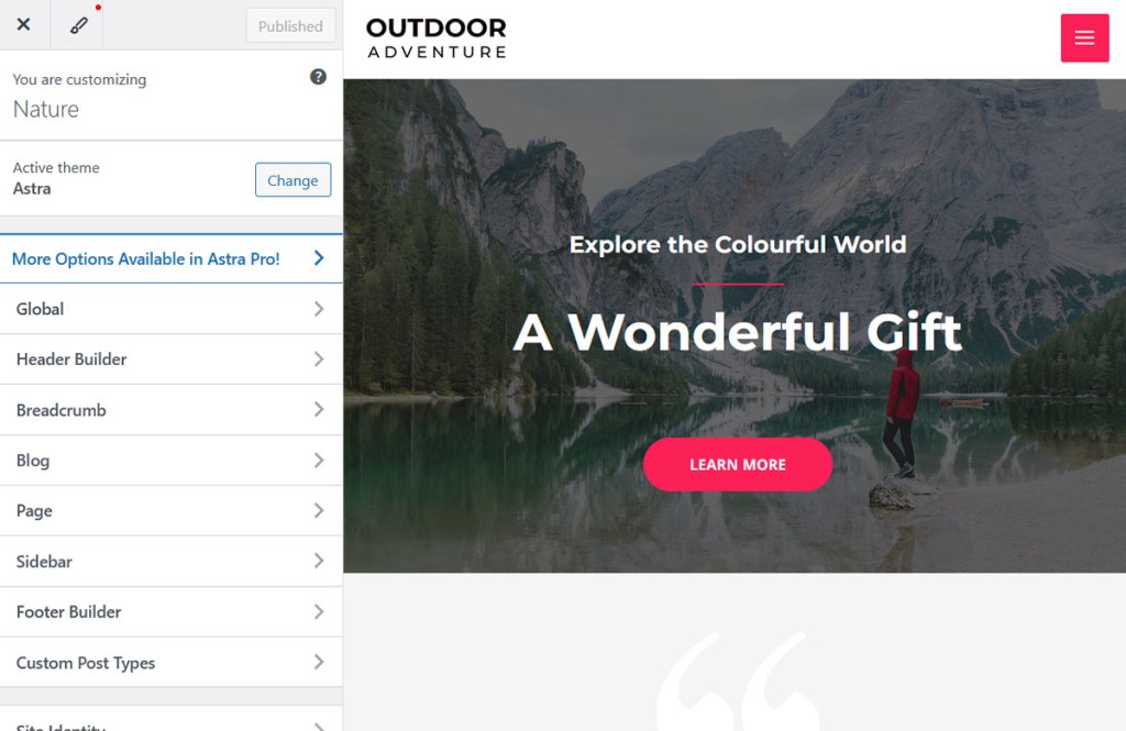 Open the Customizer for WordPress