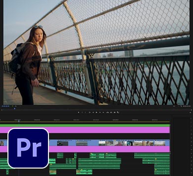 Premiere Pro Online Course