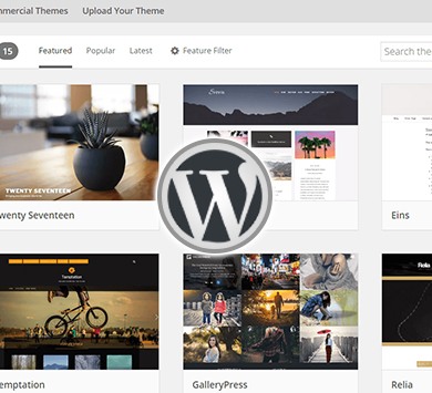 WordPress Training Institute in Delhi WordPress Training Institute in Delhi